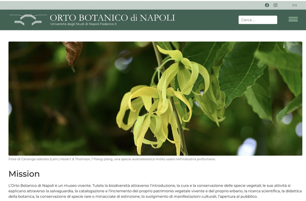 Orto Botanico Napoli2.jpg
